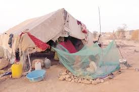 من مأساة الحرب.. أسر نازحة من تعز تعيش في عدن بلا مأوى