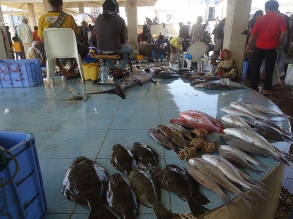 مواطنون يشكون من إرتفاع أسعار الأسماك في عدن
