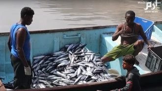 صحفي: هذا سبب منع الصيادين من الصيد في البحر قبالة الريان وشحير بحضرموت منذ 5سنوات